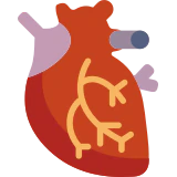Online Doctor Consultation - Cardiology