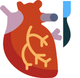 Online Doctor Consultation -Cardiothoracic and Vascular Surgery