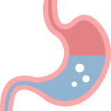 Online Doctor Consultation - BGastroenterologists/ GI Medicine