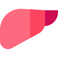 Online Doctor Consultation -Hepatology