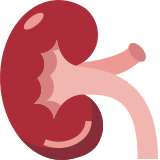 Online Doctor Consultation -lab