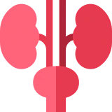 Online Doctor Consultation -ic_urology